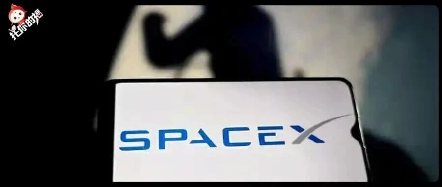 SpaceX员工母校大揭秘!藤校竟集体缺席?